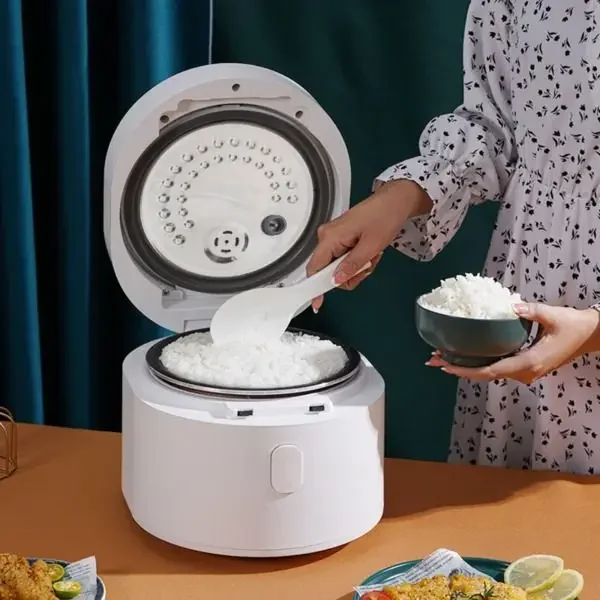 Penanak Nasi Pintar 110v 3L, A - Baby Food Japan ulasan dan harga